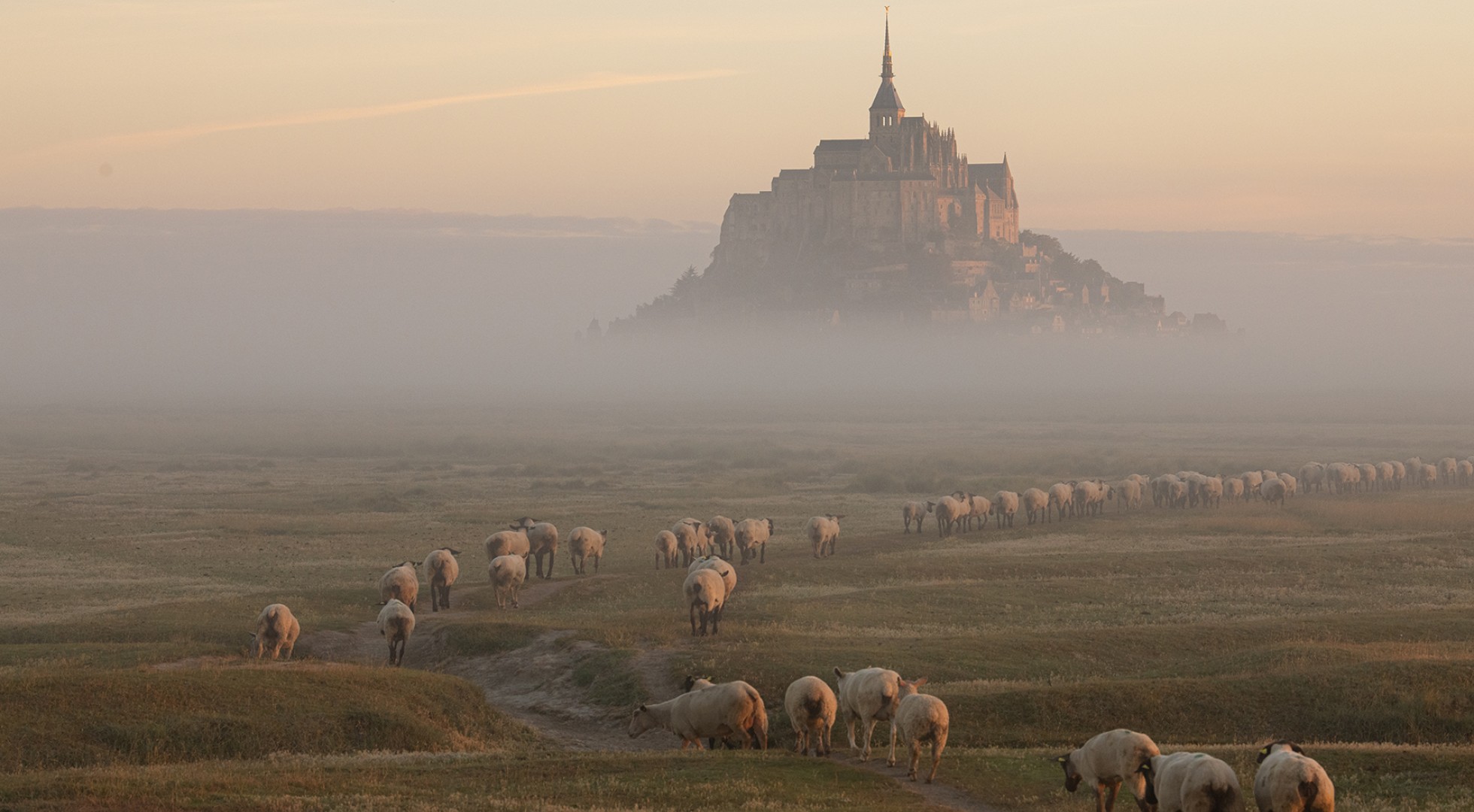 Mont St Michel at Dusk