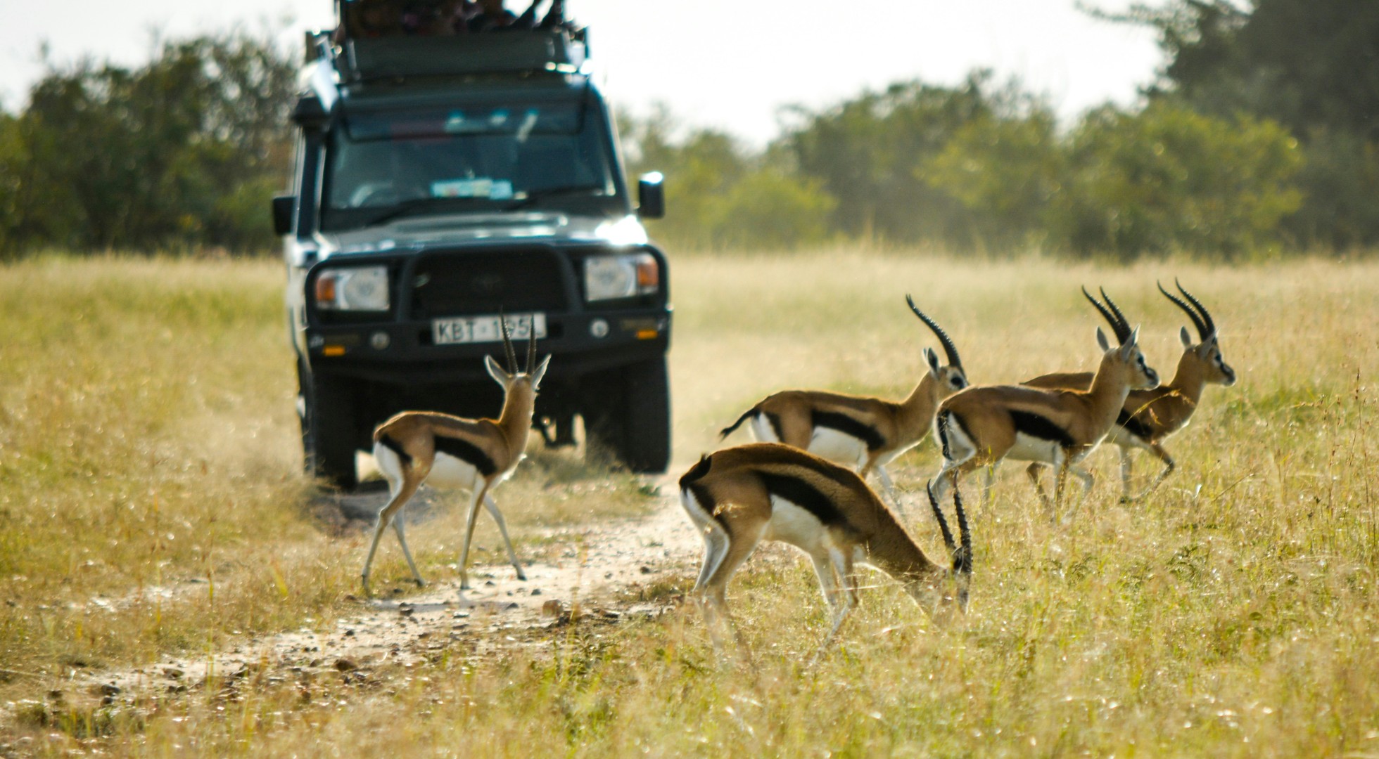 Jeep in Kenya