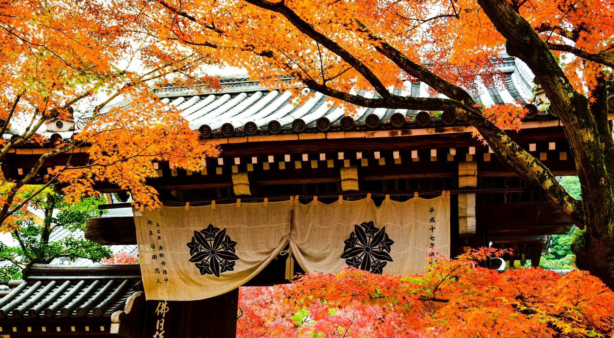 Kyoto in the fall