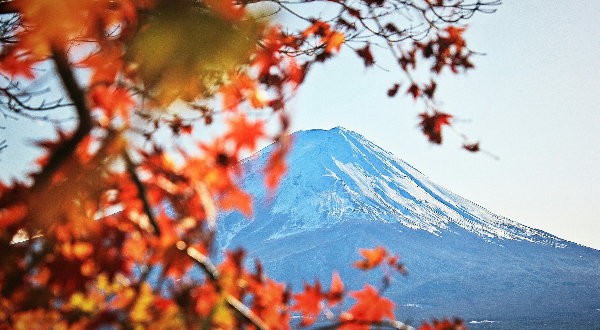 Mt fuji in autumn