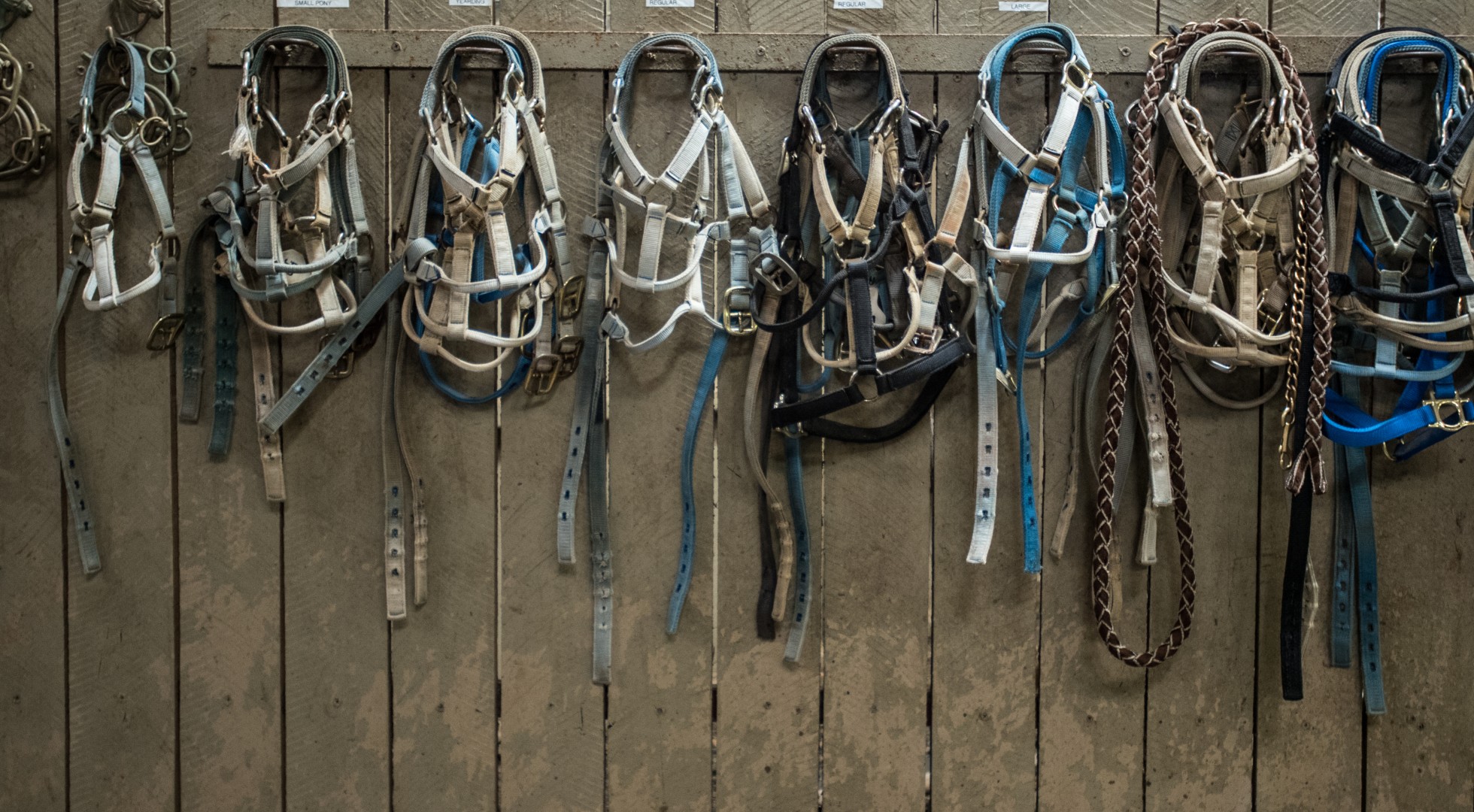 Bits and Bridals Hang On Wall