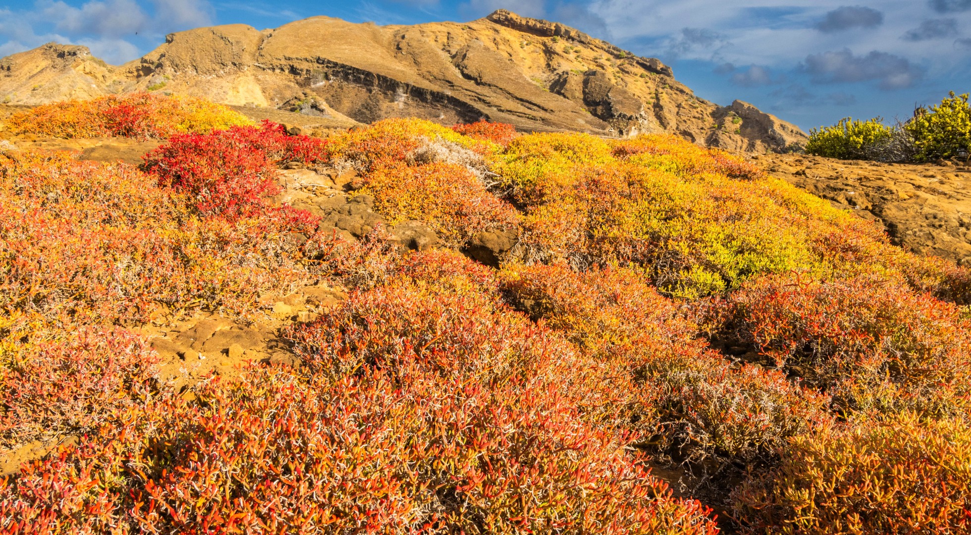 Galapagos Islands San Cristobal Island