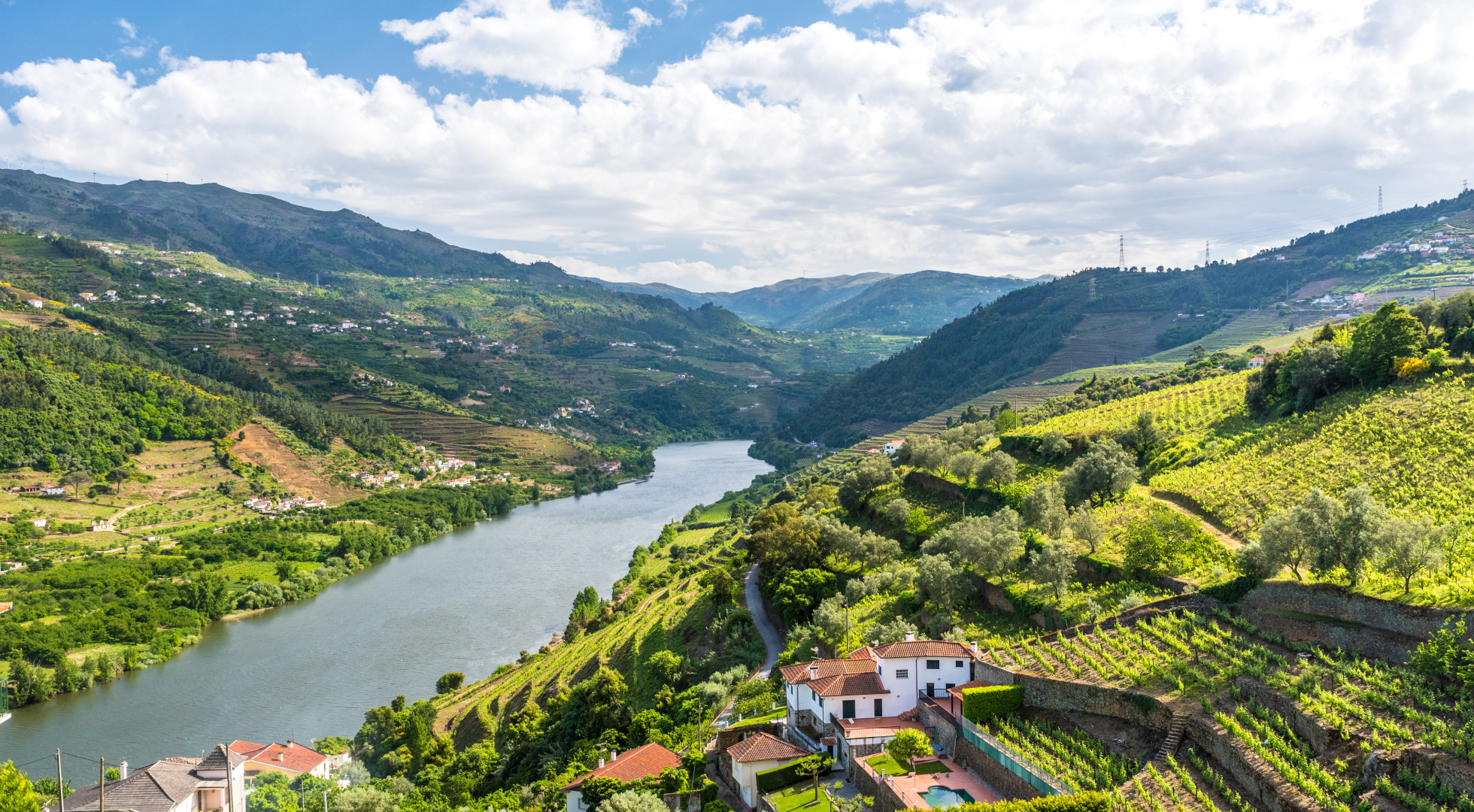 vinyards