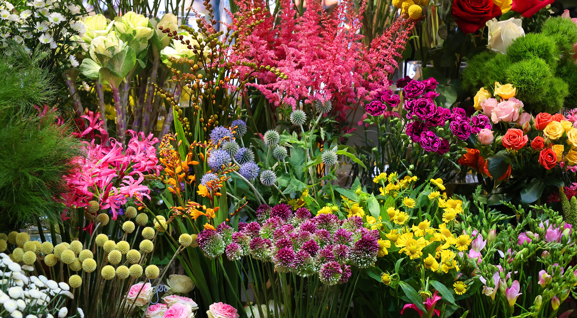 flower garden