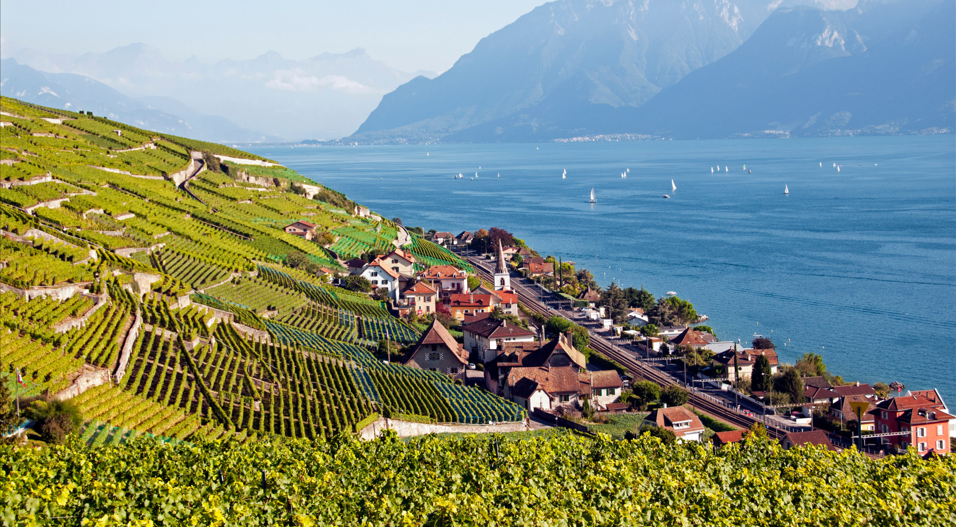 Lavaux Vineyards