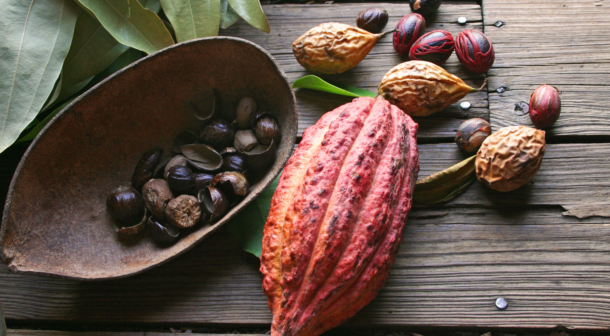 Local fruit