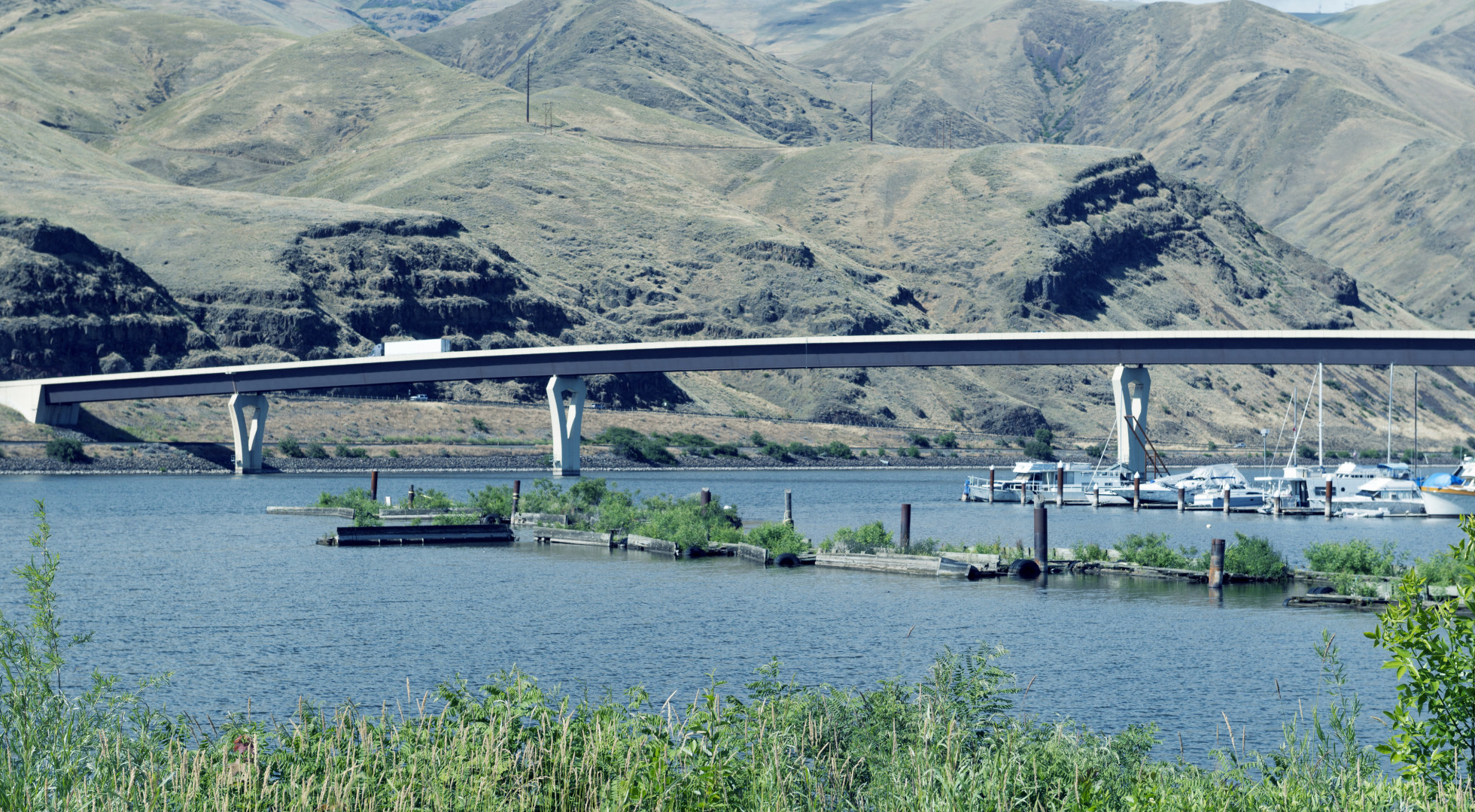 bridge