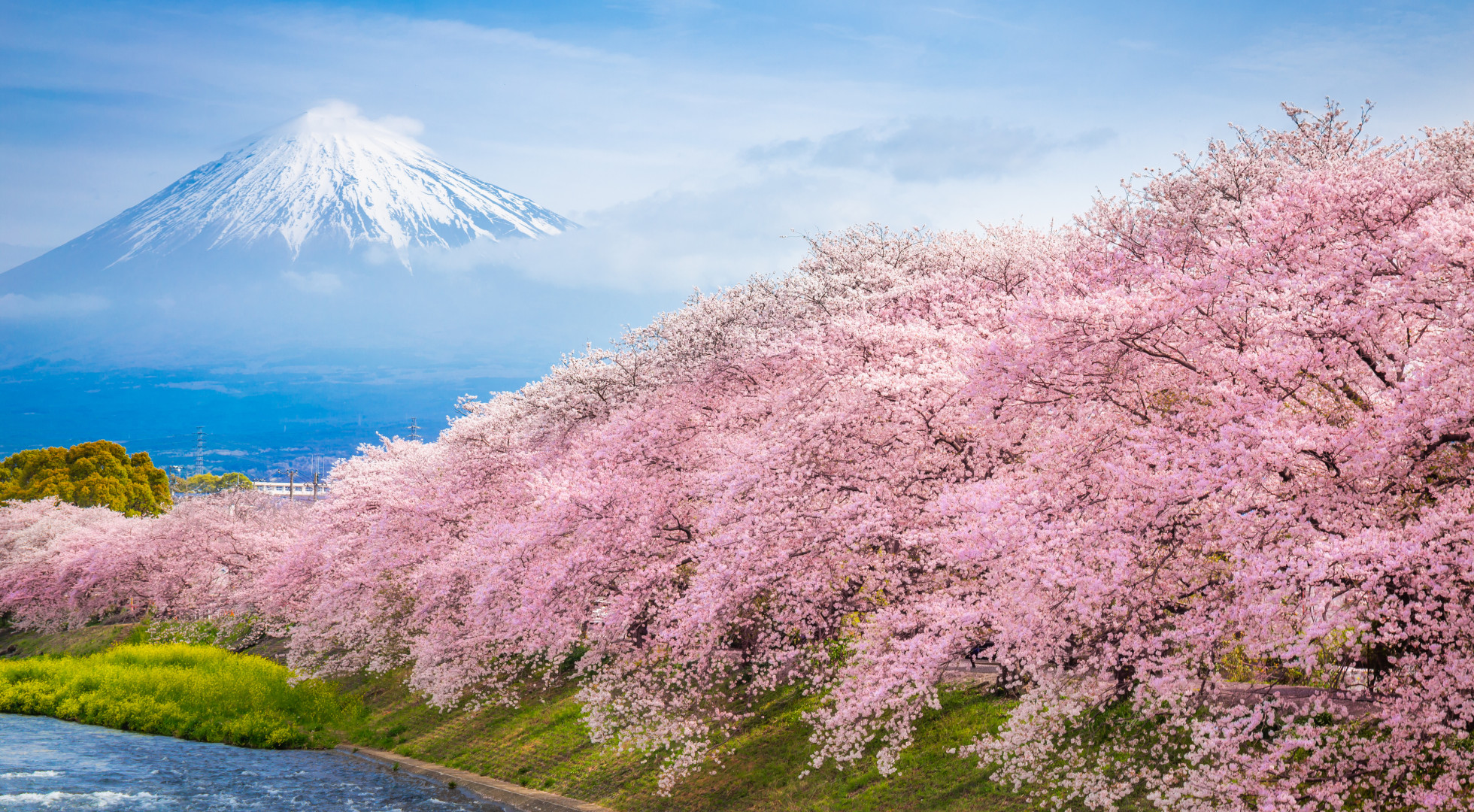Mount Fuji