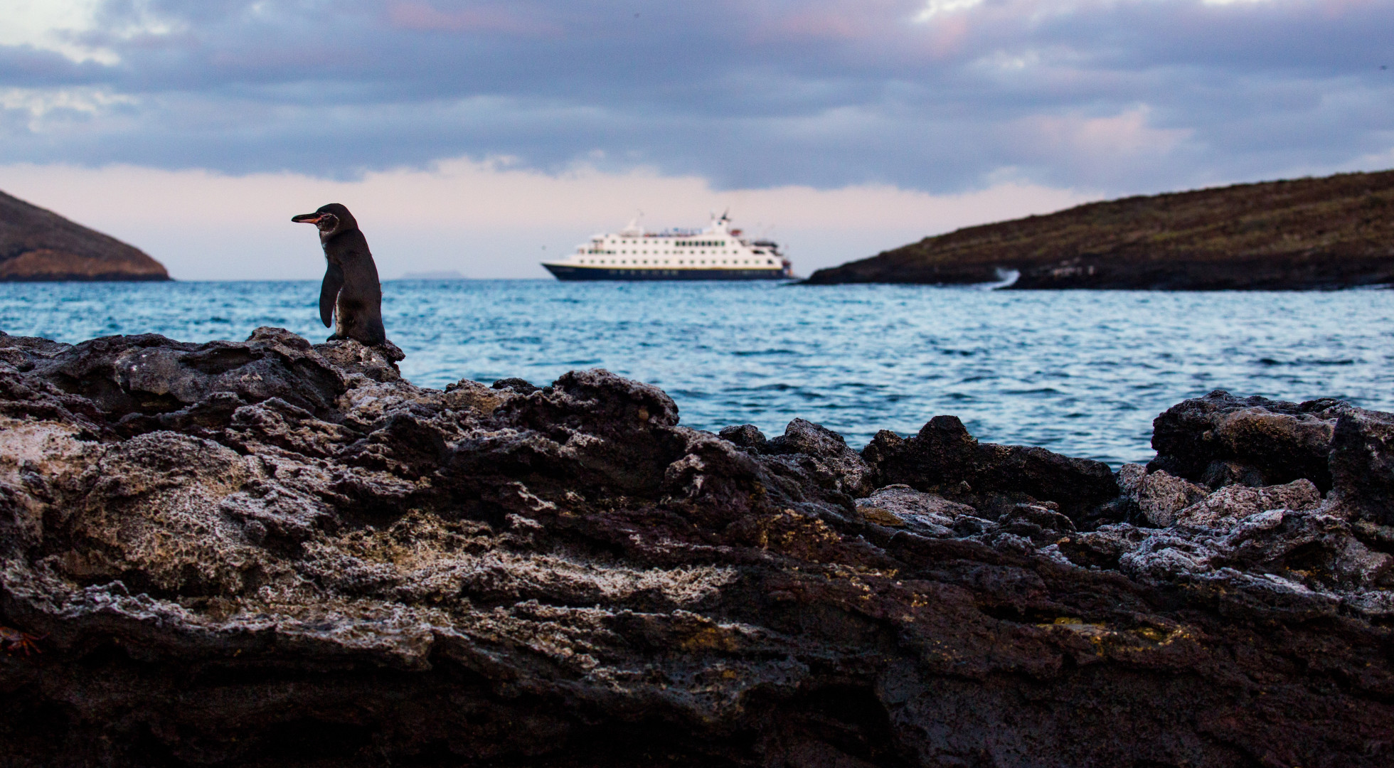 Endeavour II Exterior