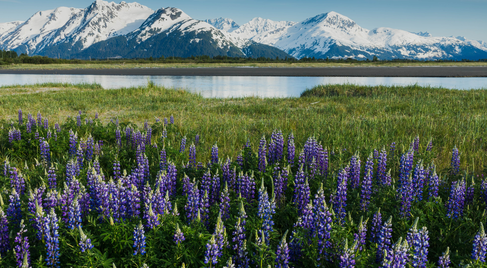 Alaskan Mountains