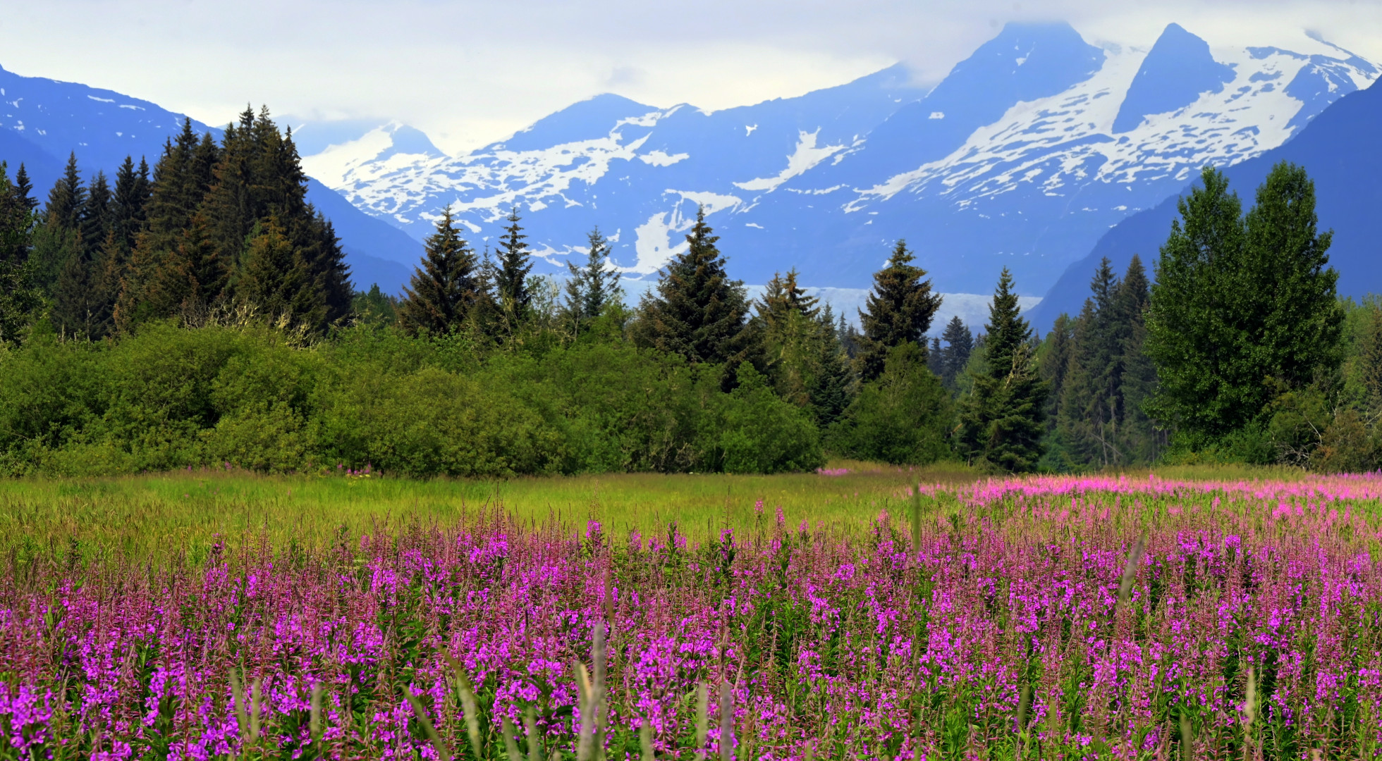 Juneau