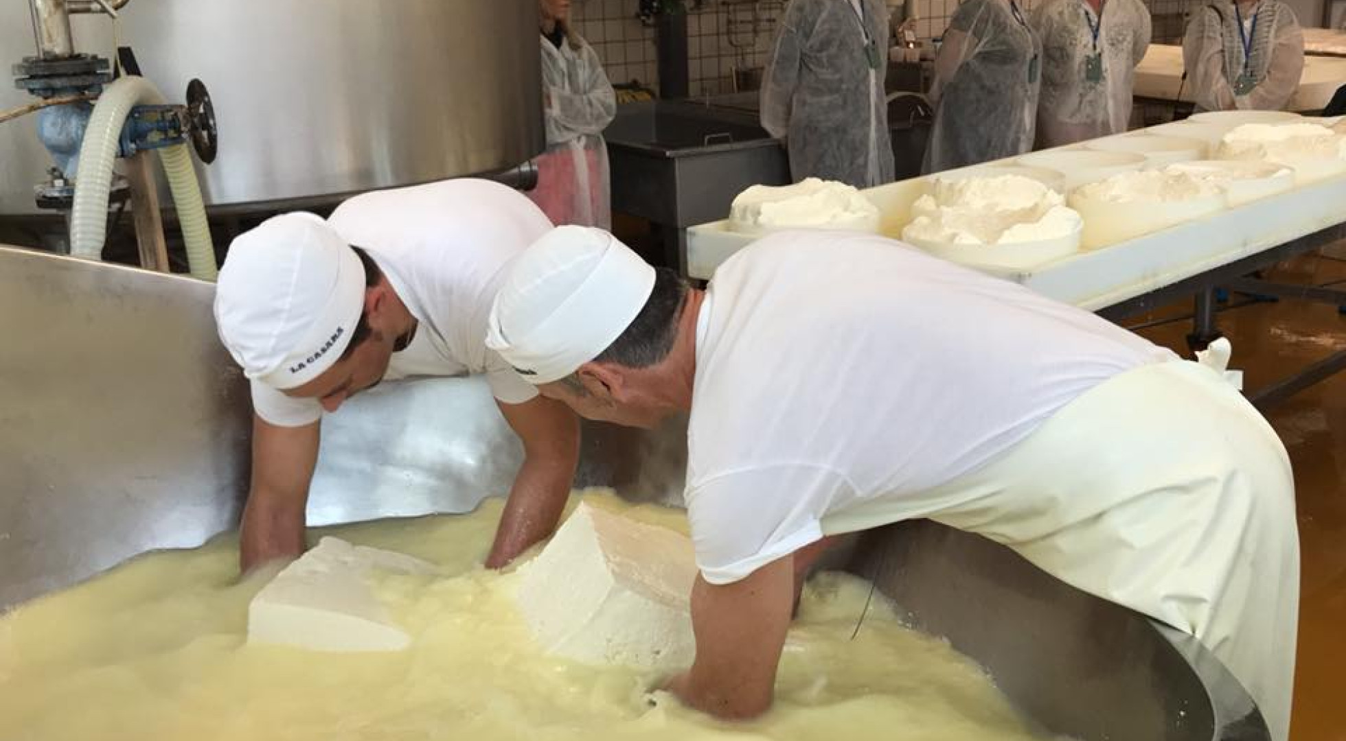 cheese makers