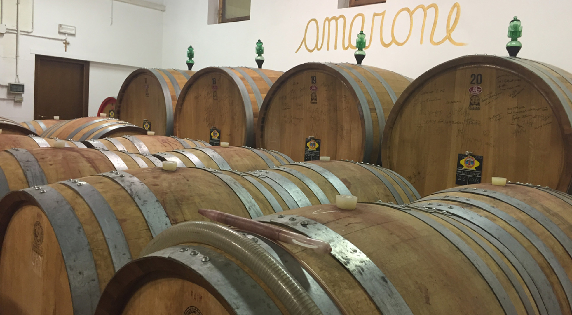 wine barrels