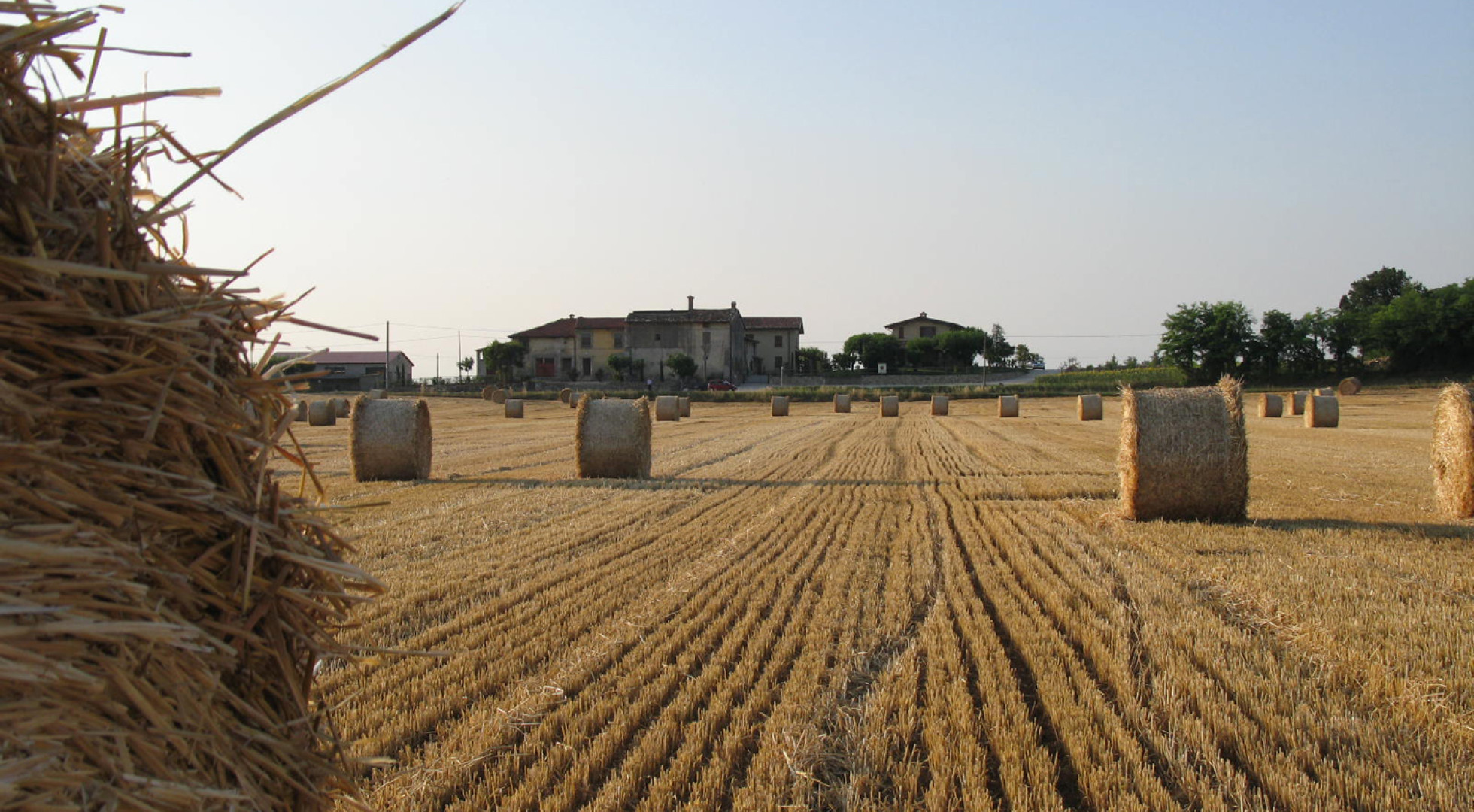 field