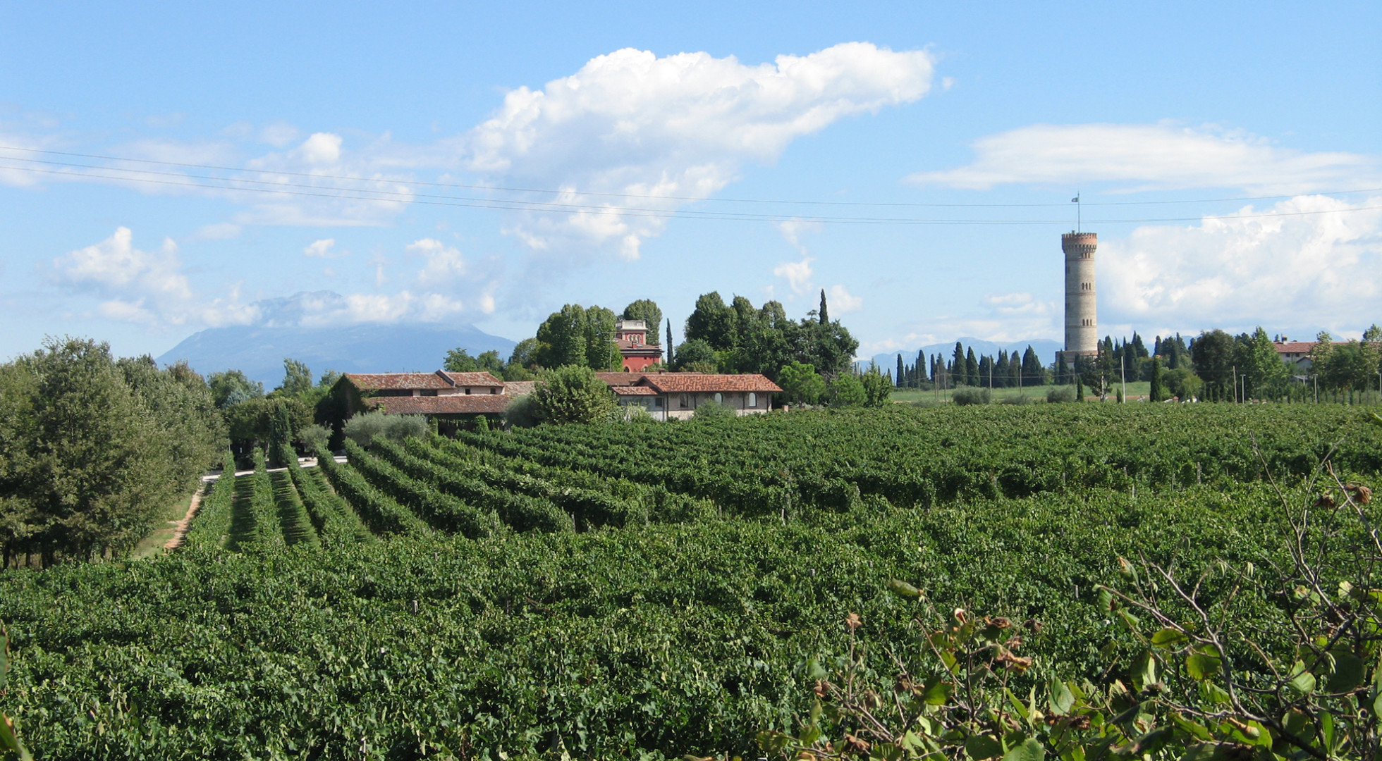 winery