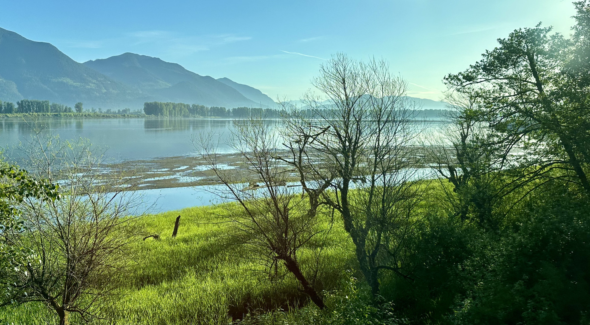 shoreline