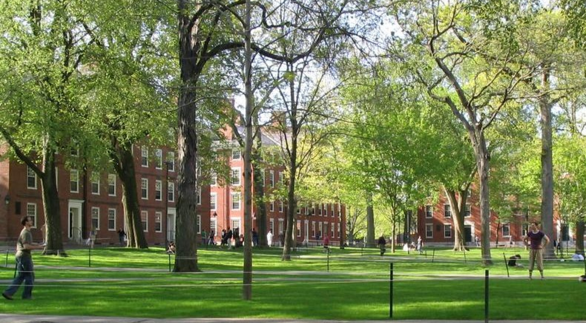 Harvard Yard