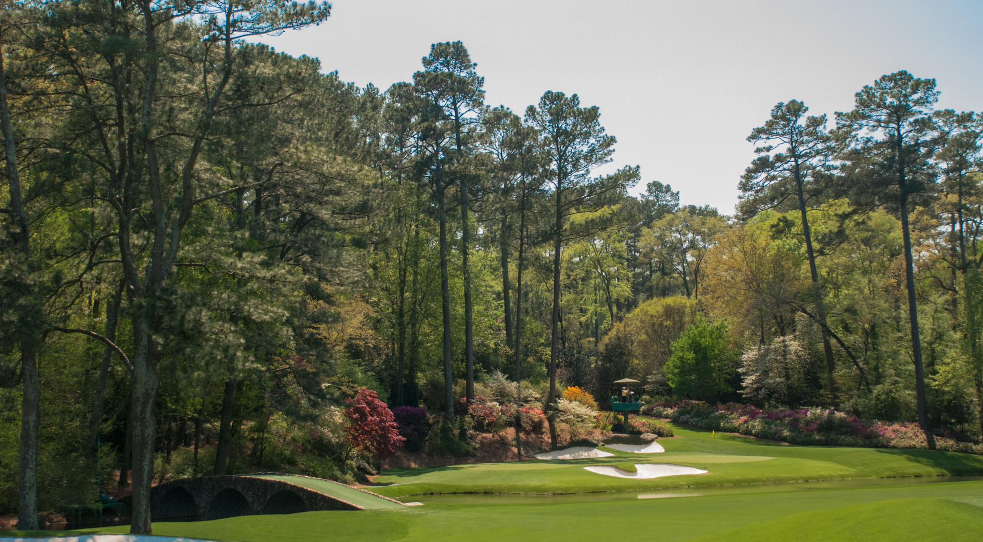 Masters Savannah