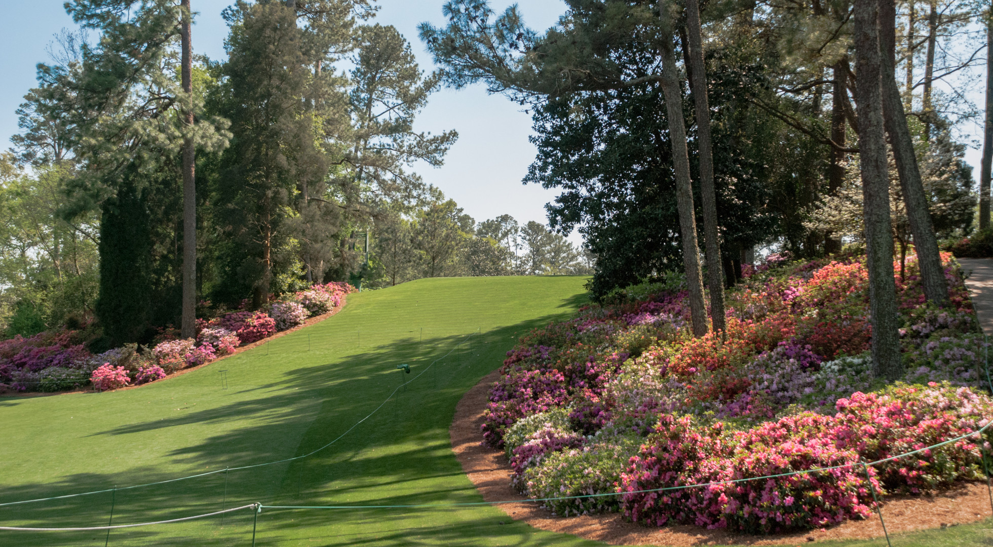 Masters Savannah