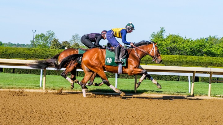 Horses racing at the Kentucky Derby