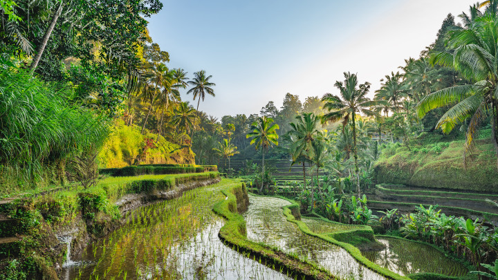 Malay & Indonesian Shores 2027