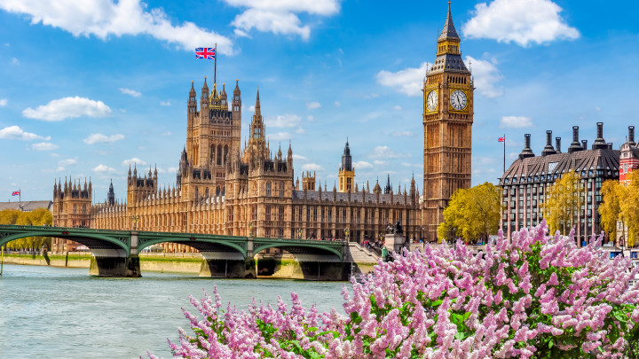 Legacy of the Windsors