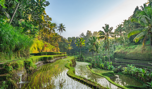 Malay & Indonesian Shores 2027