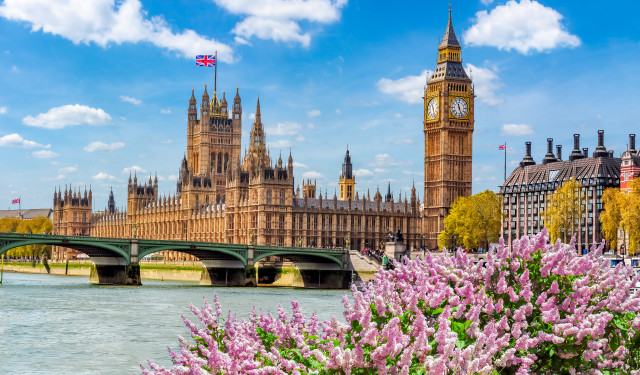 Legacy of the Windsors