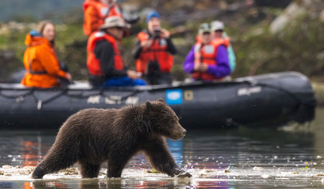 Alaska's Inside Passage_Nat Geo Lindblad